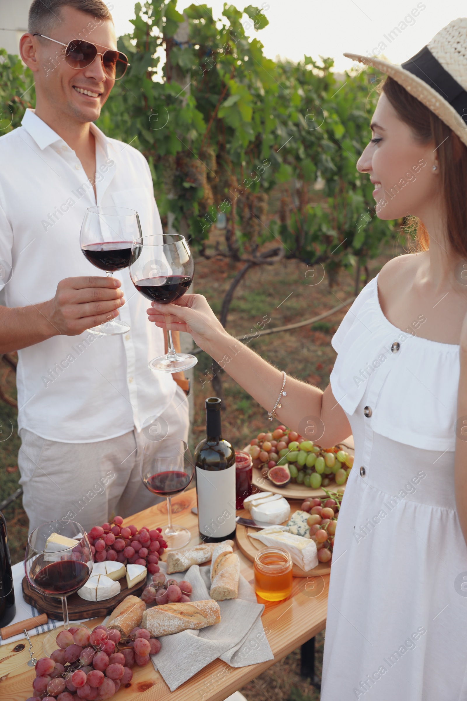 Photo of Couple with glasses of wine in vineyard on sunny day
