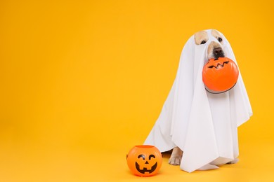 Photo of Cute Labrador Retriever dog wearing ghost costume with Halloween buckets on orange background. Space for text