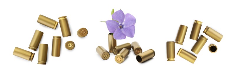 Image of Set of bullet shells and beautiful flower on white background, top view. Banner design