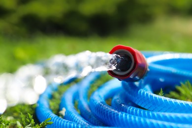 Water flowing from hose on green grass outdoors, closeup