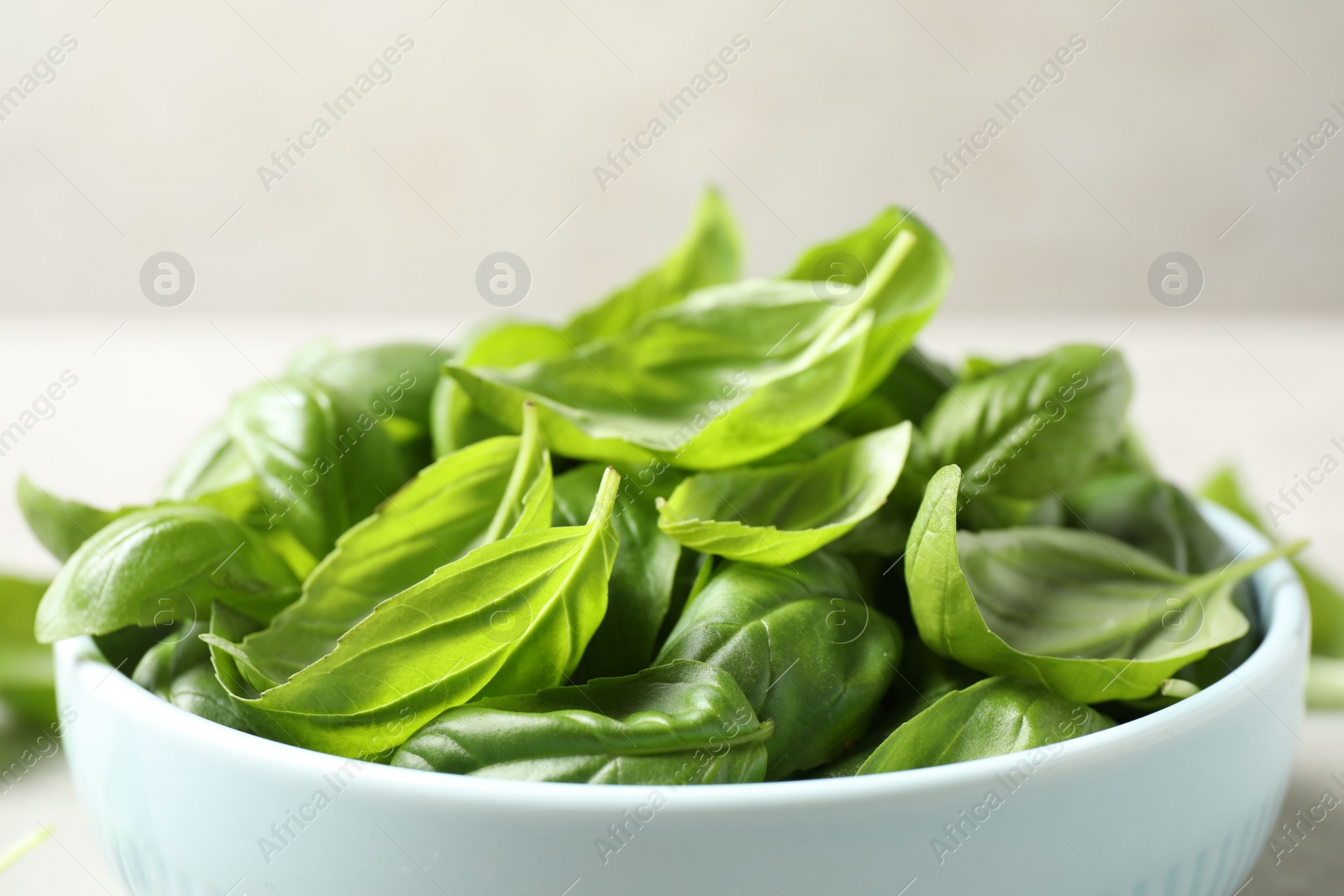 Photo of Fresh green basil leaves on table, closeup