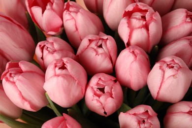 Bouquet of beautiful pink tulips as background, above view