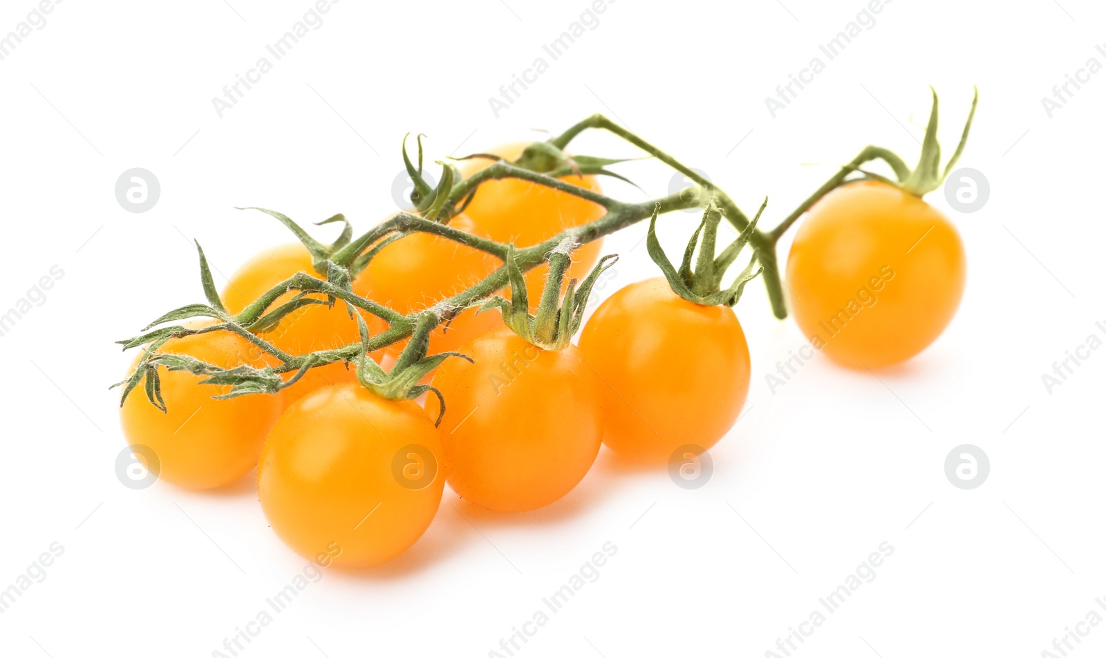 Photo of Branch of ripe yellow cherry tomatoes on white background