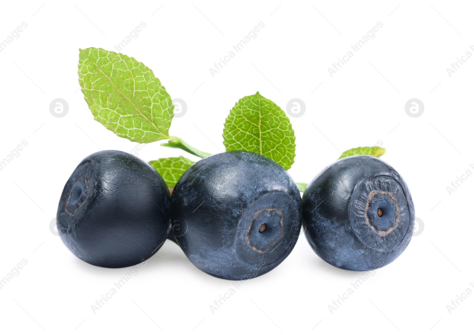 Photo of Tasty ripe bilberries and green leaves isolated on white