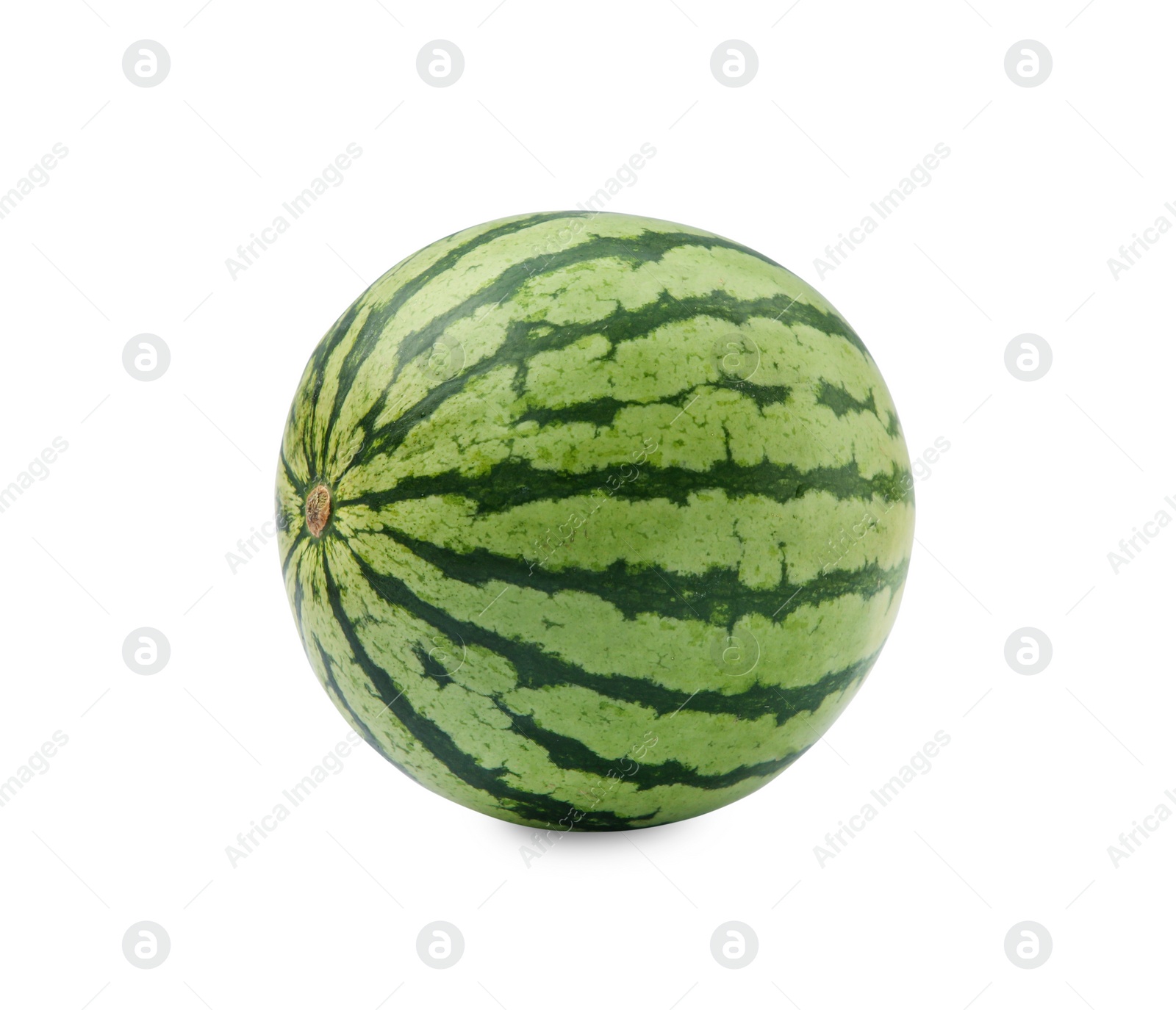 Photo of One whole ripe watermelon isolated on white