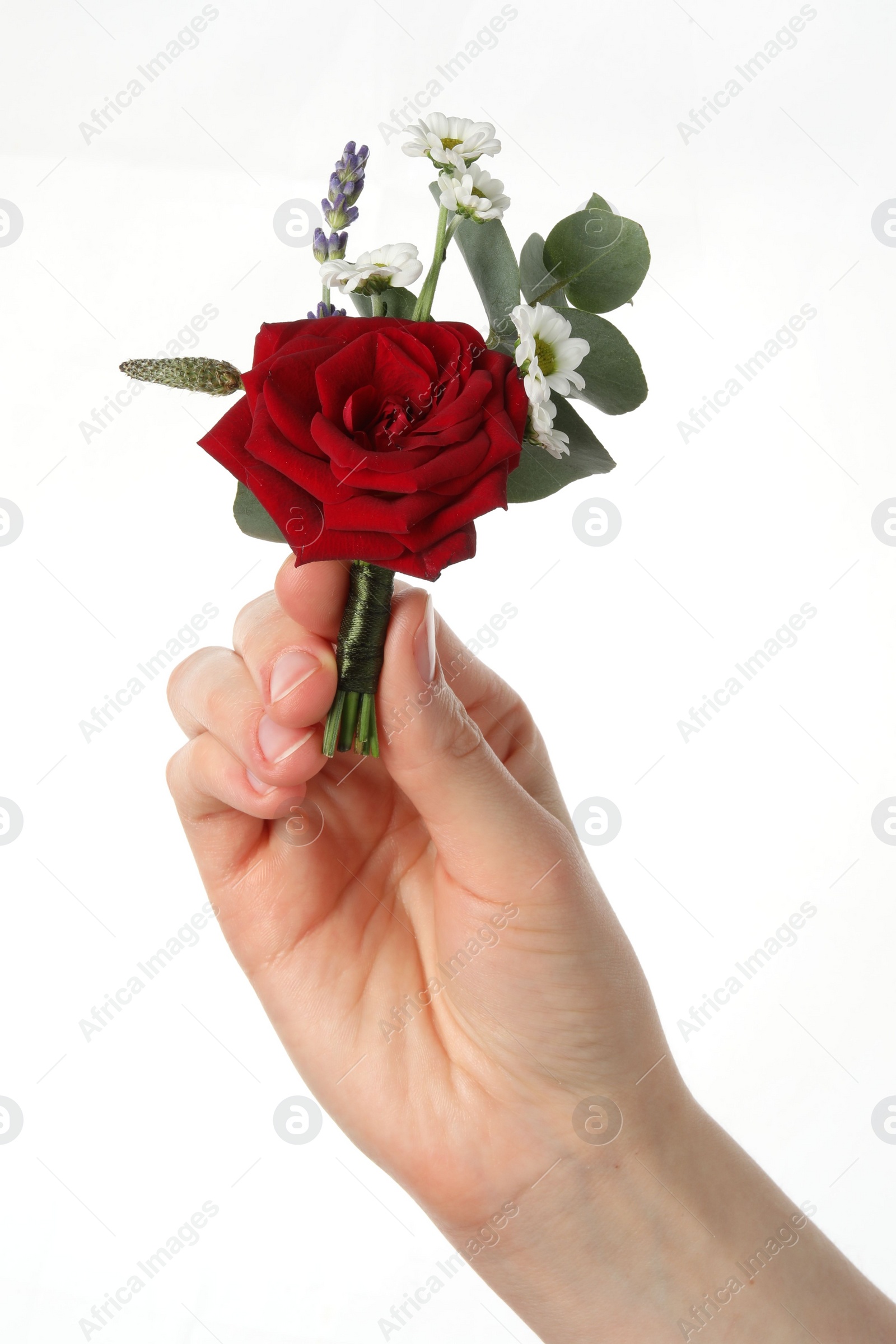 Photo of Woman holding stylish boutonniere on white background, closeup