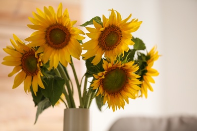 Photo of Vase with beautiful yellow sunflowers in room, closeup