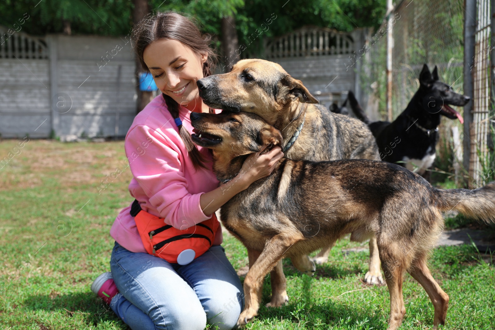 Photo of Female volunteer with homeless dogs at animal shelter outdoors