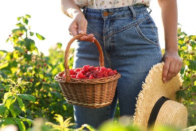 Photo of Woman holding wicker basket with ripe raspberries and straw hat outdoors , closeup
