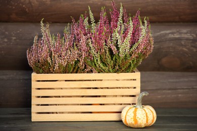 Beautiful heather flowers in crate and pumpkin on table near wooden wall