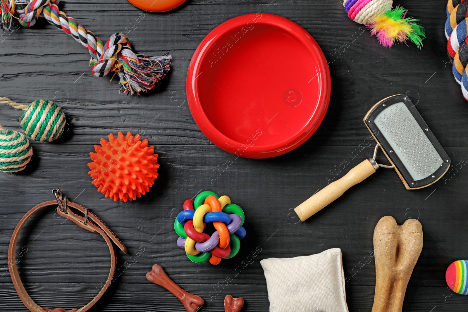 Photo of Flat lay composition with accessories for dog and cat on wooden background. Pet care