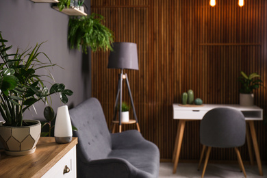 Plant and oil diffuser on cabinet indoors. Home design idea