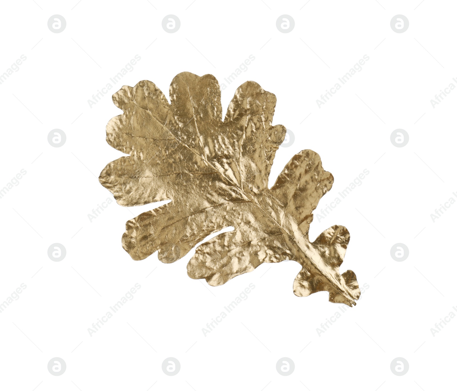 Photo of One golden oak leaf isolated on white. Autumn season