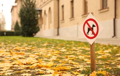 No dogs allowed sign in park on sunny autumn day