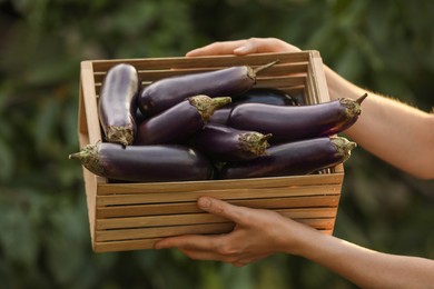 Photo of Woman holding wooden crate with ripe eggplants on blurred green background, closeup