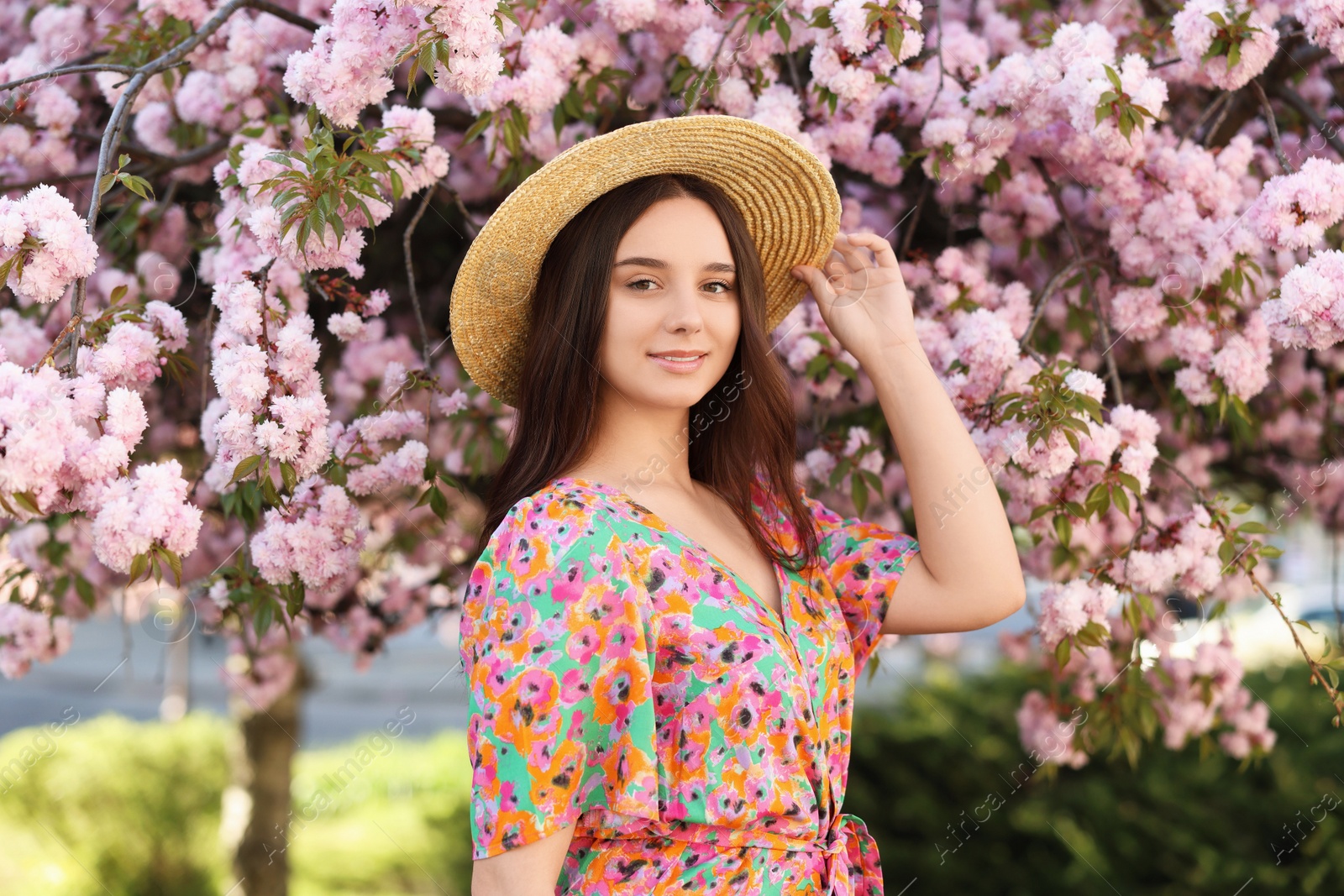 Photo of Beautiful woman in straw hat near blossoming tree on spring day
