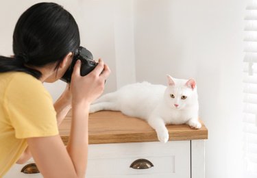 Professional animal photographer taking picture of beautiful white cat indoors