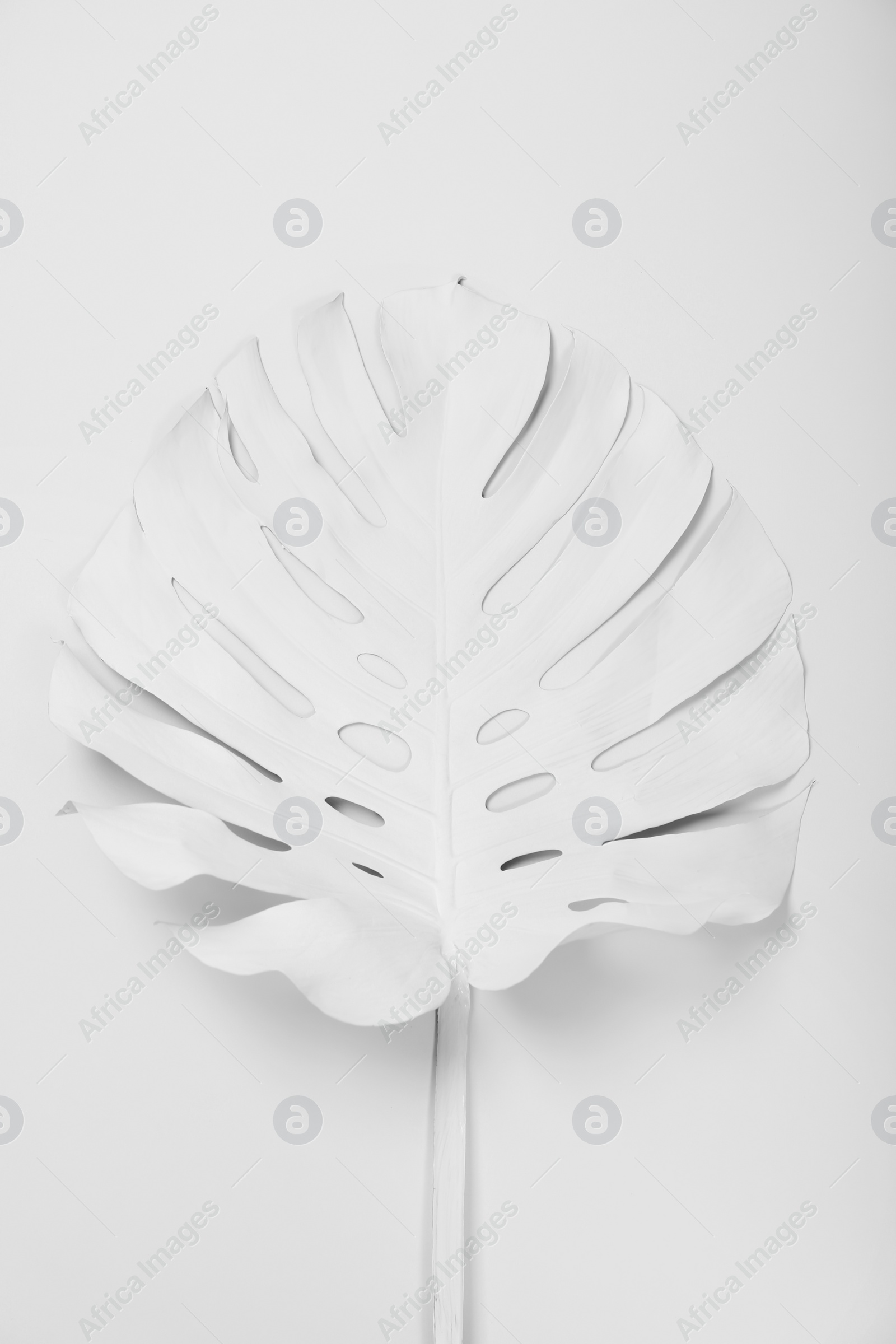 Photo of Painted tropical Monstera leaf on white background, top view