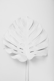 Photo of Painted tropical Monstera leaf on white background, top view