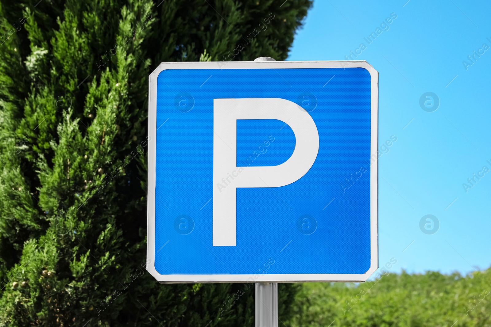 Photo of Parking road sign outdoors on sunny day