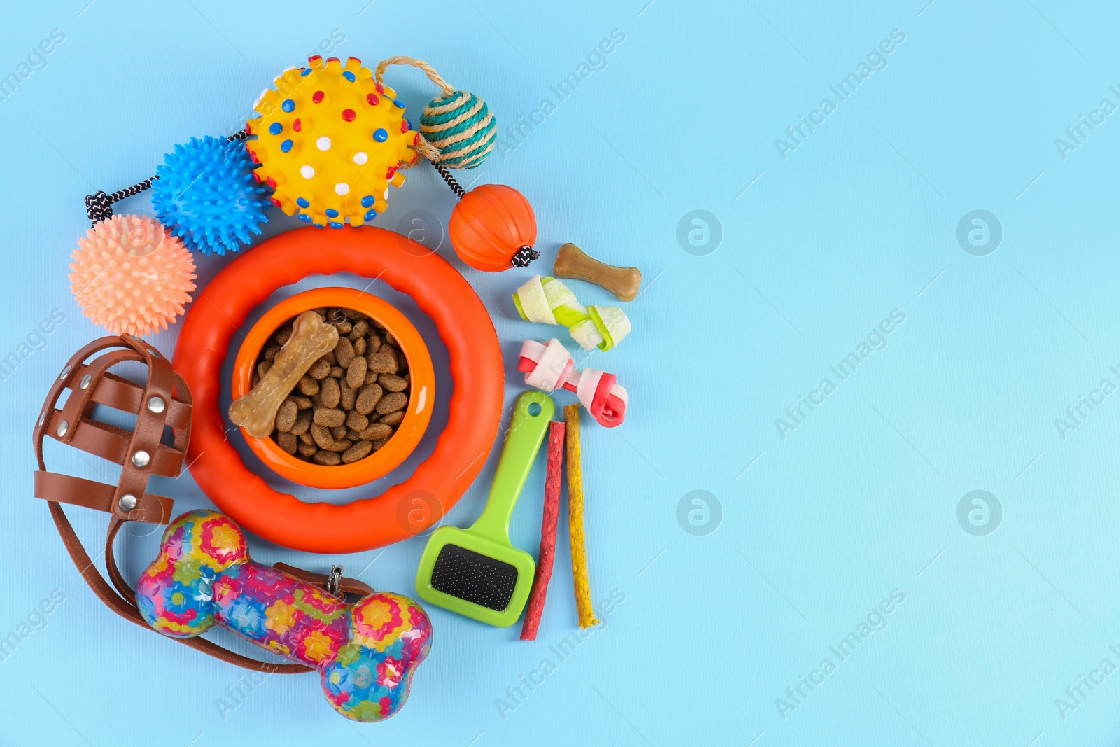 Photo of Dry pet food, toys and other goods on light blue background, flat lay with space for text. Shop items