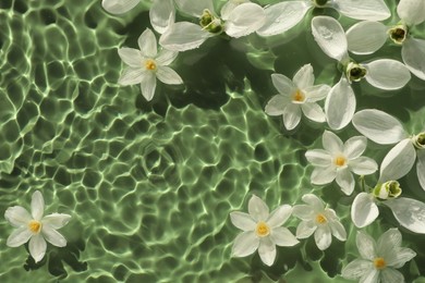 Photo of Beautiful flowers in water on green background, top view. Space for text