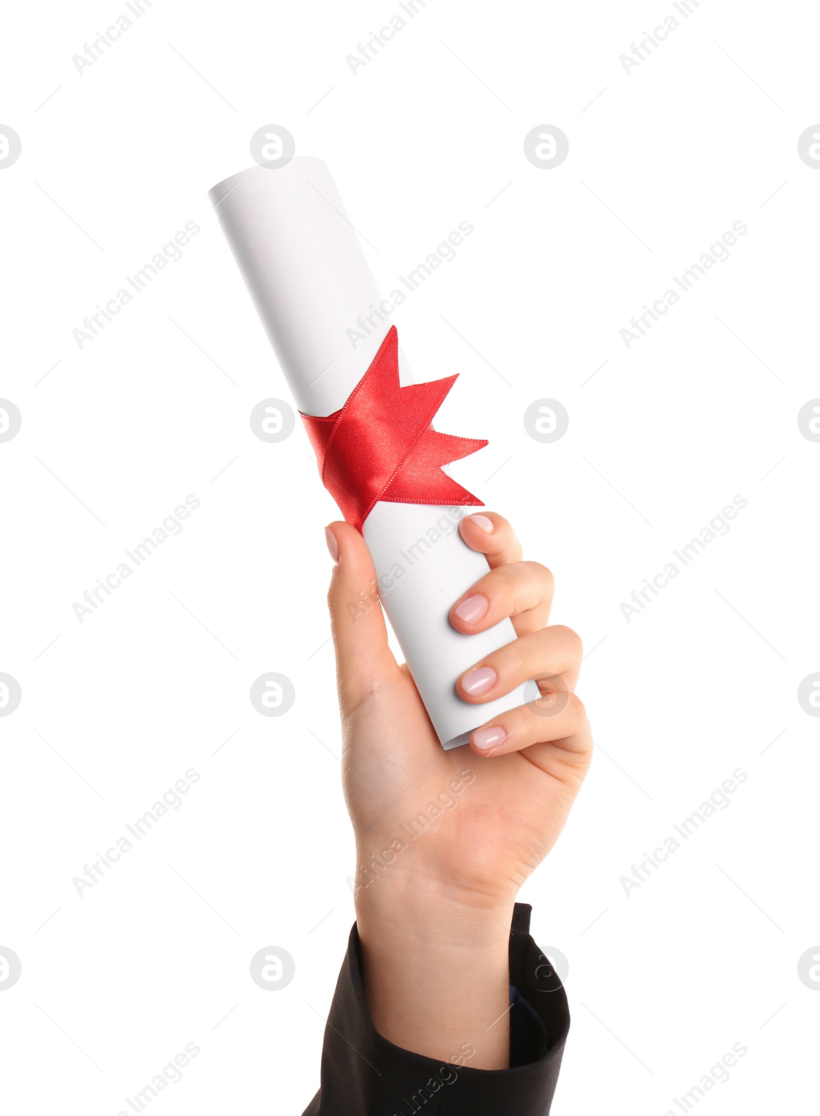 Photo of Student holding rolled diploma with red ribbon on white background, closeup