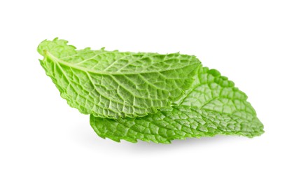 Fresh mint plant with green leaves isolated on white