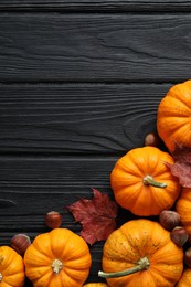Thanksgiving day. Flat lay composition with pumpkins on black wooden table, space for text