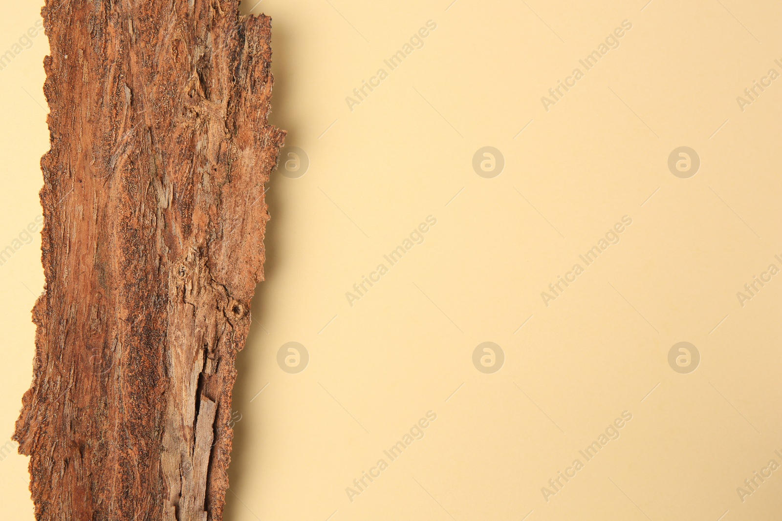 Photo of Tree bark piece on beige background, top view. Space for text