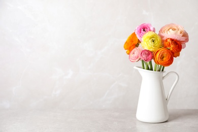 Photo of Beautiful ranunculus flowers in white jug on table. Space for text