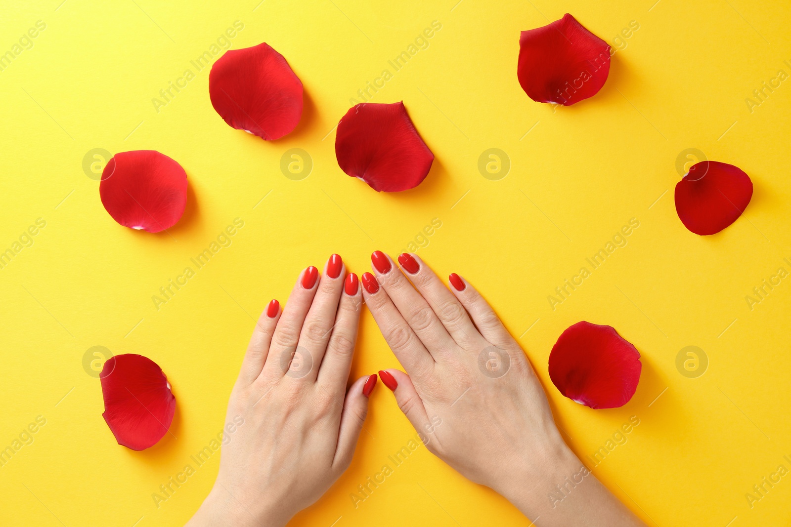 Photo of Woman holding hands near rose petals on color background, top view. Beautiful nail polish