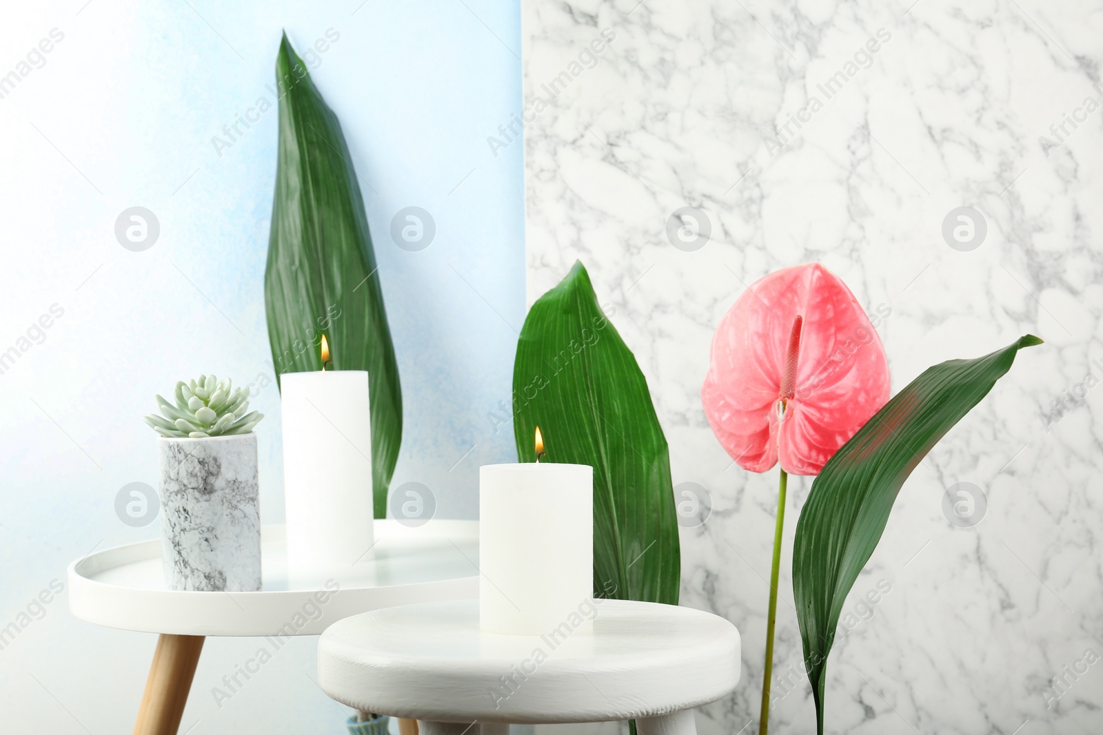 Photo of Creative composition with candles and tropical plants on light background