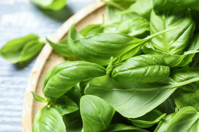 Photo of Fresh green basil on light table, closeup