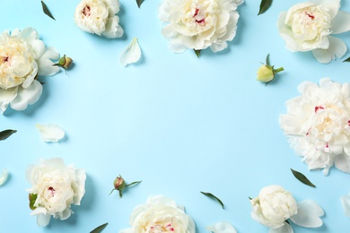Photo of Frame made with fresh peonies on color background, flat lay. Space for text