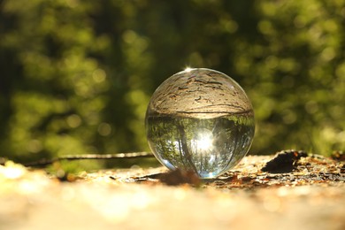 Photo of Beautiful forest with green trees, overturned reflection. Crystal ball on ground outdoors. Space for text