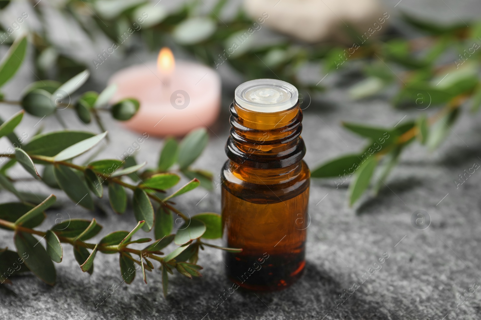 Photo of Bottle of eucalyptus essential oil and plant branches on grey table