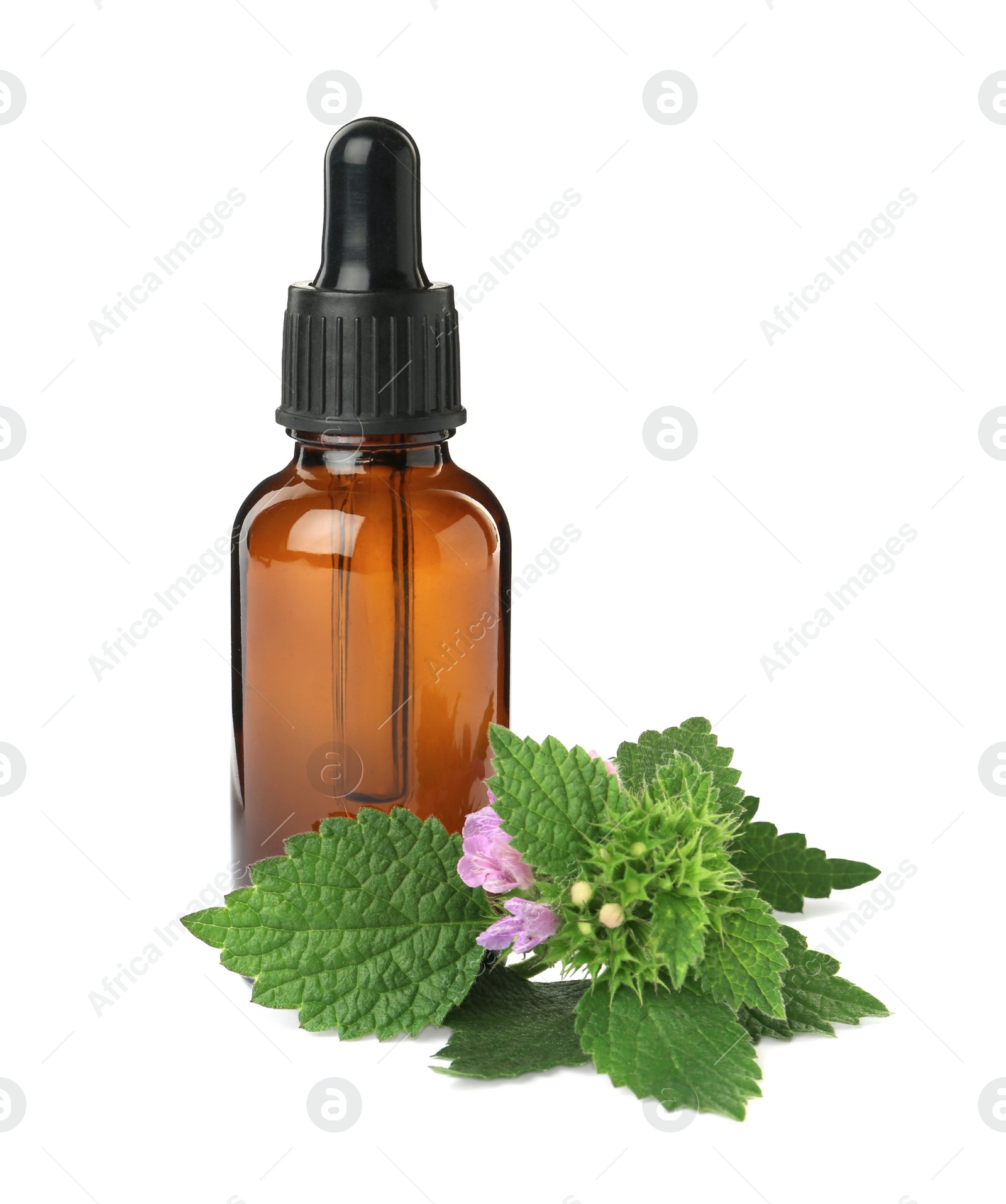 Photo of Glass bottle of nettle oil with dropper and leaves isolated on white