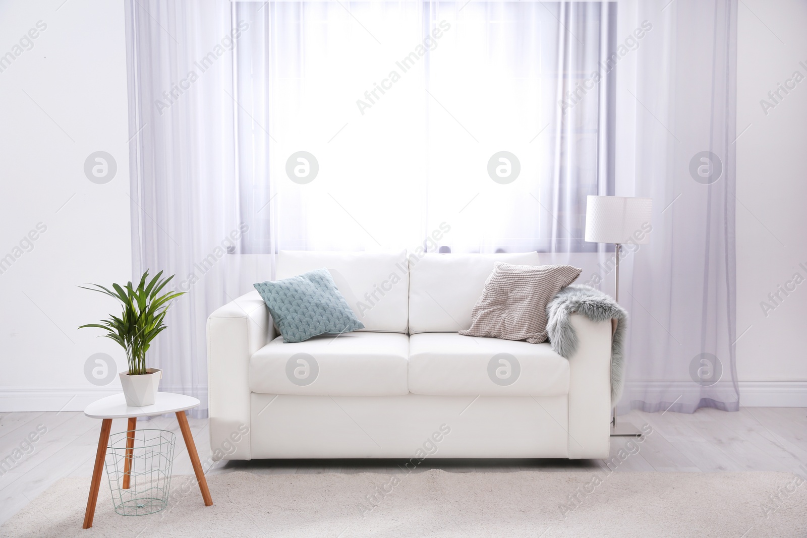 Photo of Modern living room interior with comfortable sofa. Space for text