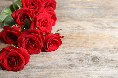 Beautiful red rose flowers on wooden background