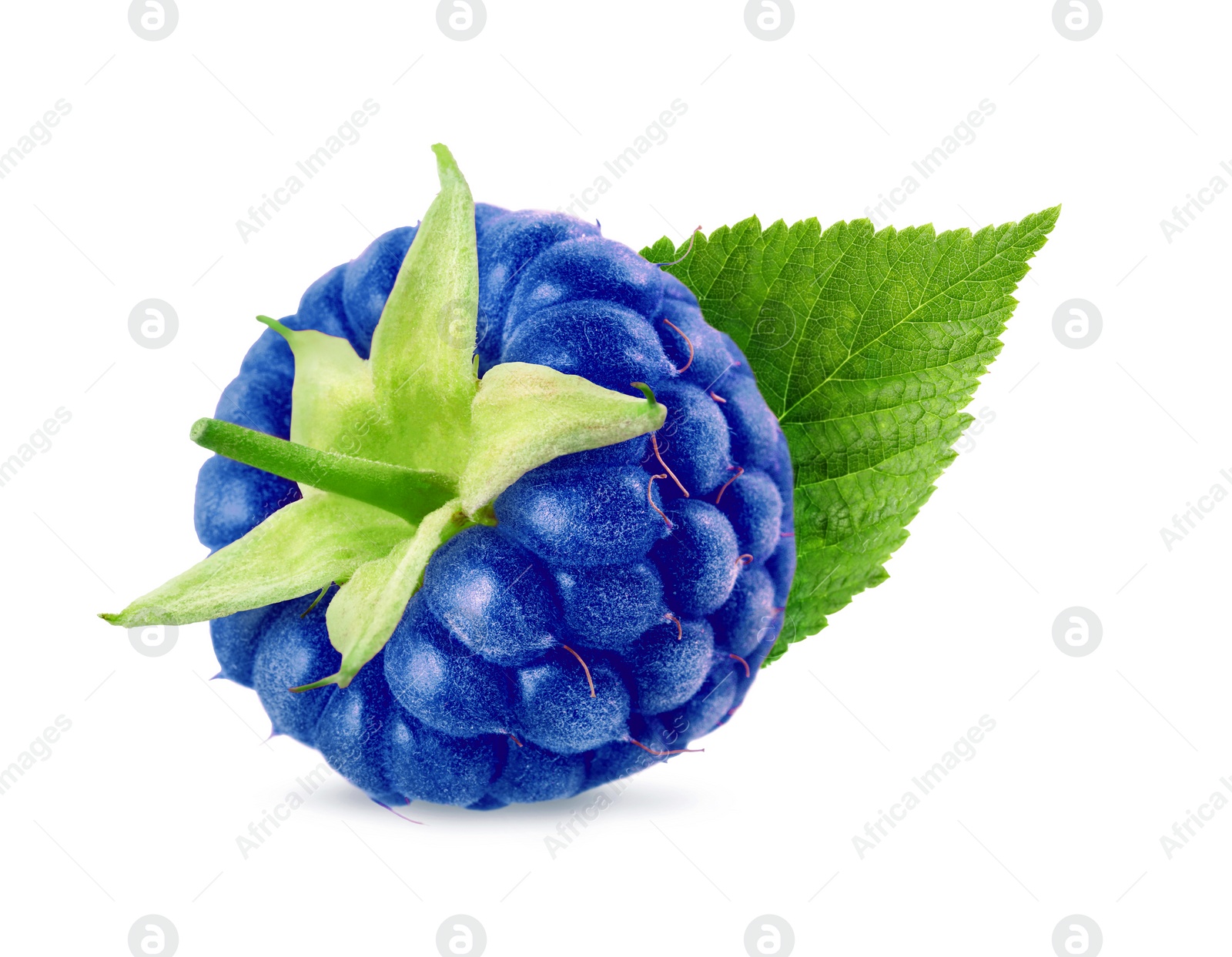 Image of Fresh blue raspberry and green leaf isolated on white