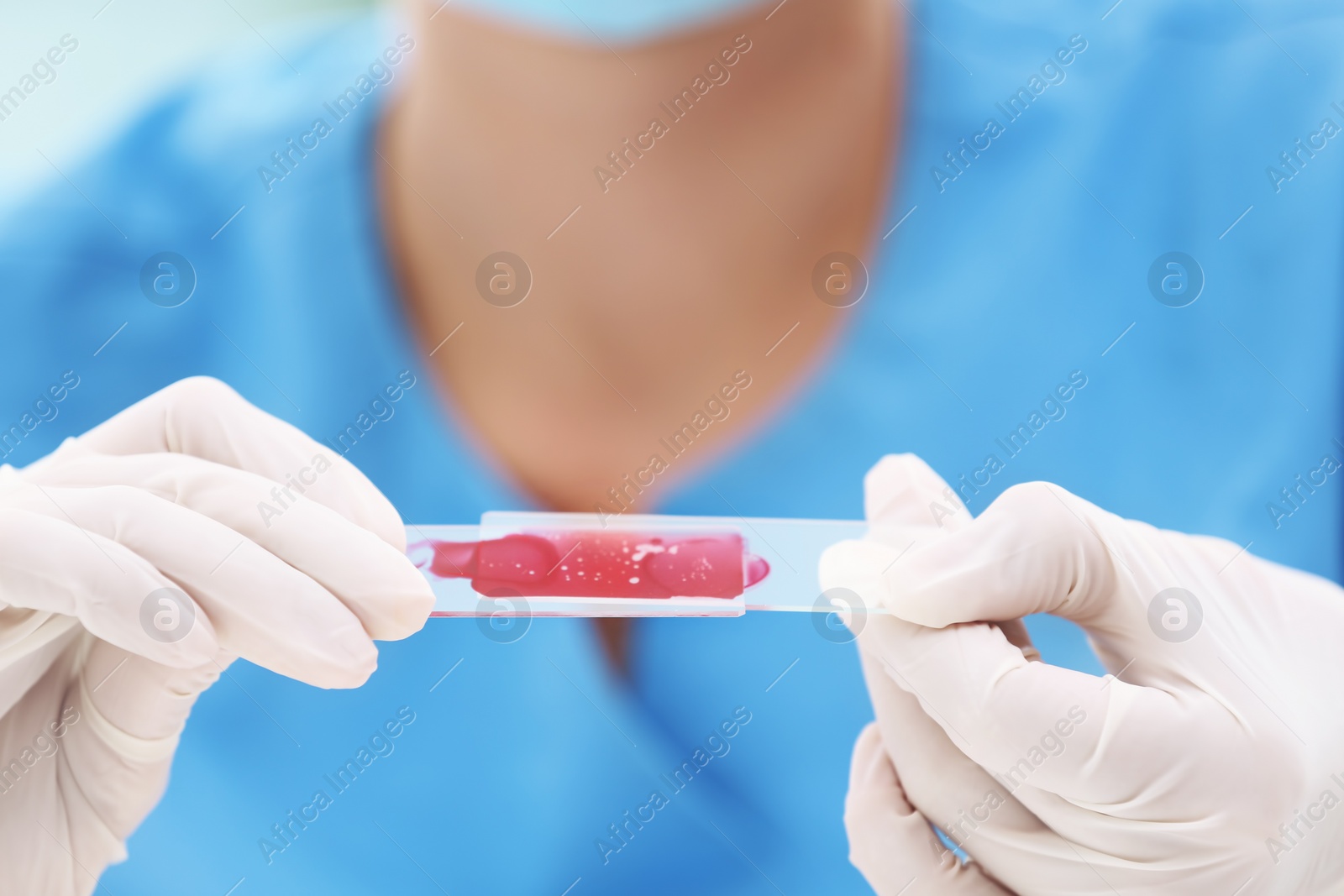 Photo of Scientist working with blood sample in laboratory