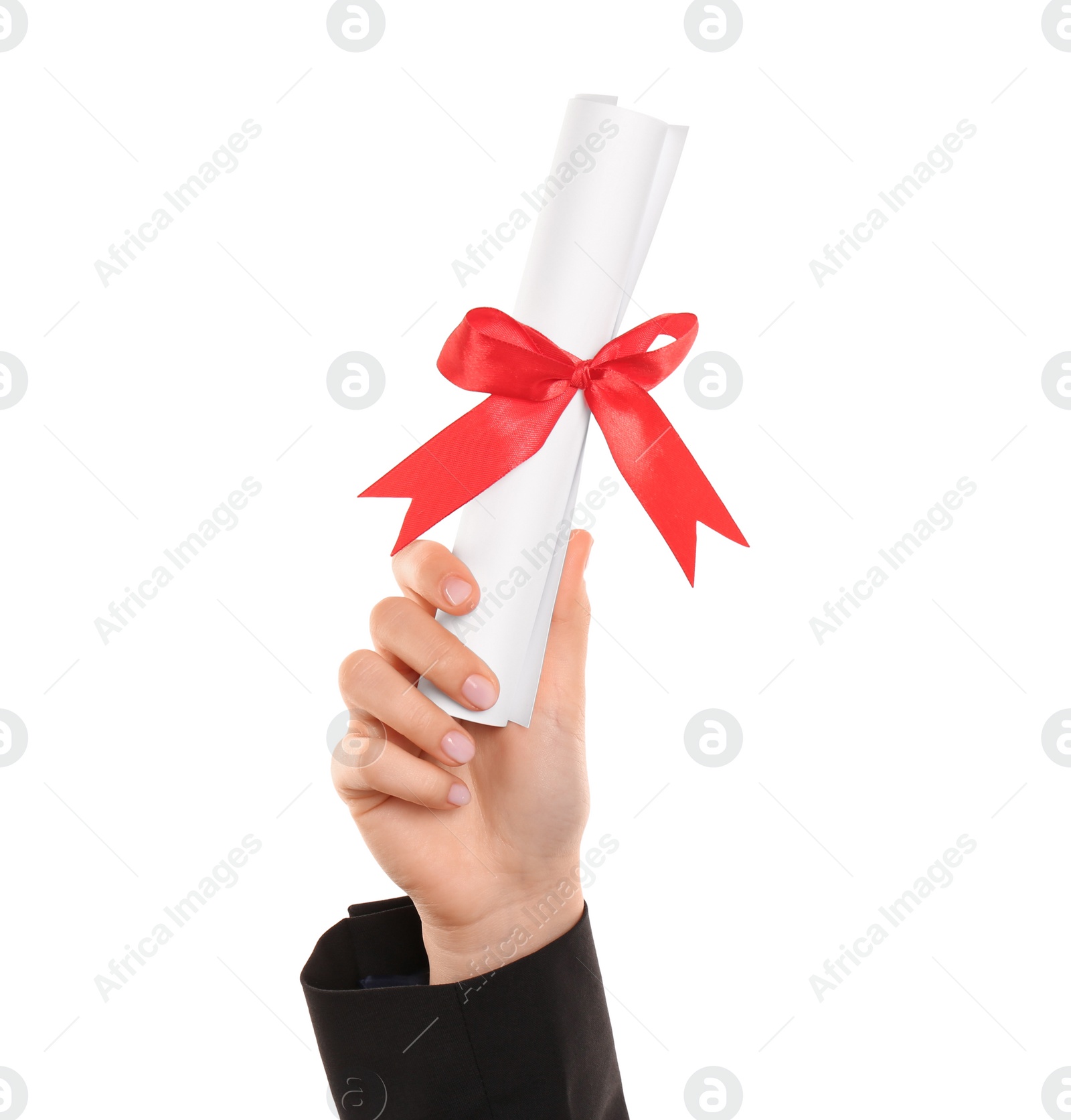 Photo of Student holding rolled diploma with red ribbon on white background, closeup