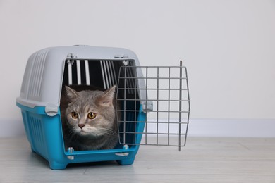Photo of Travel with pet. Cute cat in carrier on floor near white wall indoors, space for text