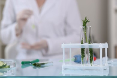 Photo of Quality control. Food inspector working in laboratory, focus on test tubes with dill
