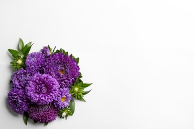 Photo of Beautiful asters and space for text on white background, top view. Autumn flowers
