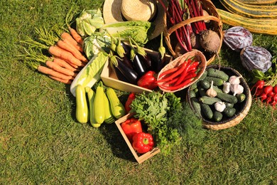 Different fresh ripe vegetables on green grass, flat lay