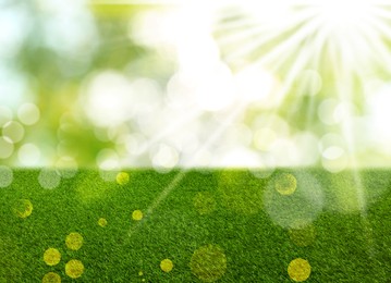 Image of Vibrant green grass outdoors on sunny day