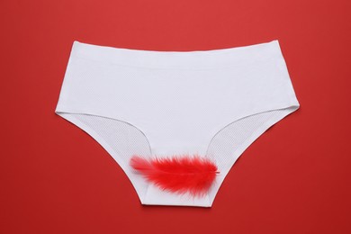 Photo of Woman's panties with feather on red background, top view. Menstrual cycle