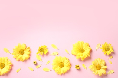 Photo of Flat lay composition with beautiful chamomile flowers on pink background. Space for text